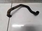 Kühlerschlauch Volkswagen Passat, B6 2005.08 - 2010.11 Gebraucht, BLS