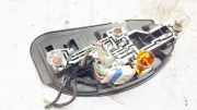 Lampenträger Heckleuchte - Hinten Citroen C5, I 2001.03 - 2008.02 Gebraucht,