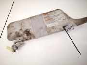 Sonnenblende Subaru Outback, II 1999.10 - 2004.12 Gebraucht,