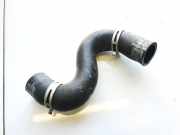 Kühlerschlauch Peugeot 206, 2002.07 - 2009.01 facelift 9631177480,