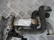 Abgaskühler AGR-Kühler Renault Scenic, II 2003.06 - 2006.06 8200360566A, 7.28430.06 H7700107471