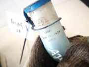 Verschluss Waschwasserbehälter Audi 80, B4 1991.09 - 1995.01 8a0955463a,