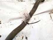 Stabilisator Vorne Kia Ceed, I 2006.12 - 2010.05 Gebraucht,