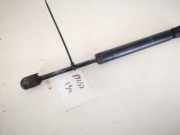 Gasdruckfeder Kofferraum Volkswagen Passat, B5 1996.08 - 2000.11 3b5827550a, AFN