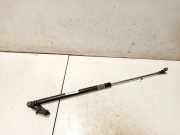 Gasdruckfeder Kofferraum Subaru Legacy, BL, BP 2003.09 - 2009.12 Gebraucht,