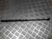 Gasdruckfeder Kofferraum Fiat Stilo, 2001.10 - 2007.01 46784995,