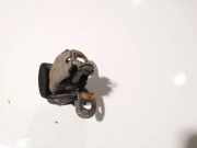 Türscharnier Hinten Renault Kangoo, 2003.05 - 2007.06 Gebraucht,