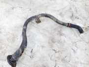 Tankeinfüllstutzen Tankrohr Kraftstoffrohr Opel Signum, 2003.05 - 2008.06 Gebraucht,