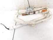 Kopfairbag - Vorne Linke Volvo V70, III 2007 - 2011.06 31250696,