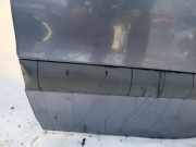 Zierleiste T?r Zier-Schutzleiste - Hinten Linke Renault Scenic, I 1996.01 - 1999.09 Gebraucht,