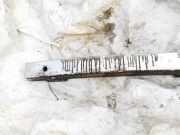 Stoßstangenträger vorne Cadillac SRX 2004.01 - 2009.12 Gebraucht,