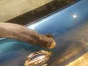 Wischermotor - Hinten Nissan Pixo 2009 - 2013 Gebraucht,