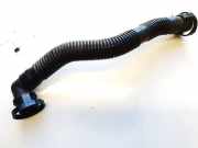 Entlüftungsschlauch Kraftstoffbehälter Volkswagen Golf, V 2003.10 - 2008.10 06a131127l, BGU