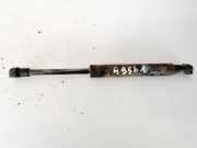 Gasdruckfeder Kofferraum Fiat Doblo, 2009.08 --> Gebraucht,