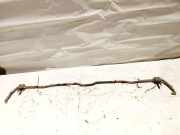 Stabilisator Stabi Hinten Hinterachse Fiat Croma 2005 - 2011 Gebraucht,