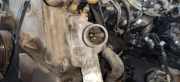 Thermostat Opel Omega, B 1994.03 - 1999.09 v236492,