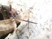 Stabilisator Vorne Nissan Murano, Z50 2003.08 - 2008.06 Gebraucht,