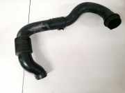 Schlauch für Luftversorgung Citroen C3, I 2002.02 - 2005.06 9646617980,