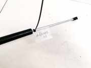 Gasdruckfeder Kofferraum Fiat Ulysse, II 2002.06 - 2014.12 Gebraucht ,