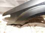 Kotflügel - Vorne Linke Dodge Journey. 2009.01 - 2014.12 pilka,