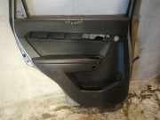 Türverkleidung - Hinten Linke Chevrolet Captiva, 2006.01 - 2011.06 Gebraucht,