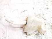 Scheibenwaschbeh?lter Vorne Wischwasserbeh?lter Opel Corsa, D 2006.07 - 2010.06 461011736,55702892