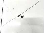 Schraube Druckplatte Renault Twingo, 2007.03 - 2014.06 Gebraucht,