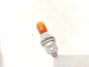 Glühbirnenfassung Blinker Nissan X-Trail, 2001.06 - 2007.06 Gebraucht,