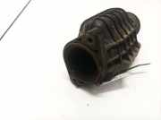 Schlauch für Luftversorgung Citroen Berlingo, II 2008.04 - 2018 Gebraucht,