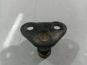 Türfanghaken Fanghaken Schliessbügel - Vorne Citroen Jumpy, I 1994.01 - 2006.12 Gebraucht,