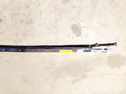 Sicherheitsmodul Seitenverkleidung Ford Mondeo, 2000.11 - 2007.03 1S7114K159CC,1S71-14K159-CC
