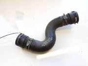 Kühlerschlauch Audi A8, D3 2002.09 - 2005.6 4G0122101AE,4G0122101AE PRR143158