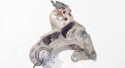 Motorhalterung und Getriebe (Motorhalterung) Audi A4, B5 1994.11 - 1999.09 8d0199352h,
