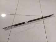 Zierleiste Leiste - Vorne Linke Chrysler 300C, I 2005.01 - 2010.06 Gebraucht,