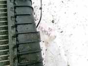 Wasserkühler Ford Focus, 2004.11 - 2008.06 Gebraucht,