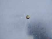 Waschwasserdüse Scheibenreinigung Opel Vectra, B 1995.09 - 2000.09 Gebraucht,