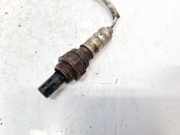 Lambdasonde -4 Dr?hte WEISS WEISS SCHWARZ GRAU Nissan Primera, P12 2002.01 - 2008.12 0ZA554N8,0ZA554-N8