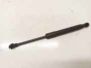 Gasfeder für Motorhaube Peugeot RCZ 2009 - 2015 ym17341080,