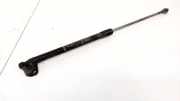 Gasdruckfeder Kofferraum Toyota Prius, 2003.06 - 2009.01 689500W431,68950-0W431