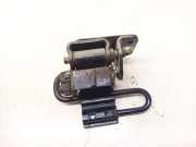 T?rscharnier Vorne Audi A6, C6 2005.01 - 2008.10 Gebraucht,