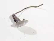 Blinkleuchte Kotflügel - Vorne Linke Opel Meriva, A 2002.12 - 2006.01 e357448,