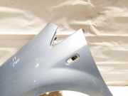 Kotflügel - Vorne Linke Fiat Punto, 2005.10 - 2012.03 Zydra,