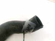 Intercooler Schlauch Fiat Stilo, 2001.10 - 2007.01 Gebraucht ,