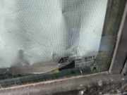 Seitenscheibe - Vorne Linke Volkswagen Sharan, 7M 1995.09 - 2000.04 Gebraucht,