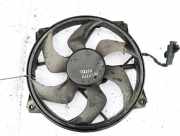 Kühlerlüfter Lüftermotor Peugeot 307, 2000.08 - 2005.06 Gebraucht,