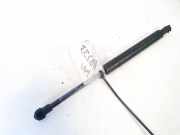 Gasfeder für Motorhaube BMW X5, E53 facelift 2004 - 2006 Gebraucht,