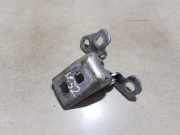 Türscharnier Vorne Renault Clio, 2009.06 - 2012.11 facelift 223421,