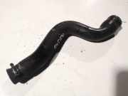 Kühlerschlauch Peugeot 308 2007.09 - 2011 Gebraucht,