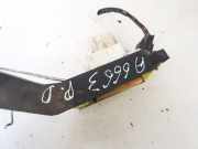 Türschloss Stangen - Vorne Rechts Ford Focus, 1998.10 - 2002.10 x841a218120cr, x841-a218120-cr