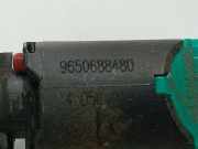 Bremslichtschalter Schalter Peugeot 407, 2004.05 - 2010.12 9650688480, 9650688480 4 05010 405010